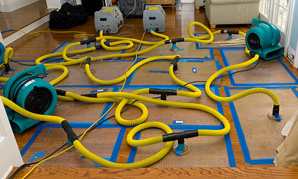 Professional Structural Drying And Dehumidification technician working in Harrisburg, SD